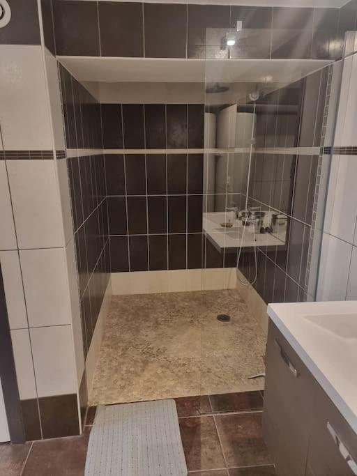 Appartement En Centre-Ville オーリヤック エクステリア 写真